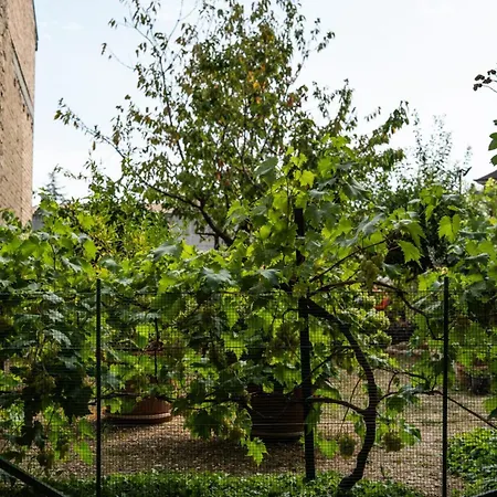 Borgo Del Piano 