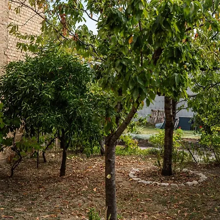 Borgo Del Piano 