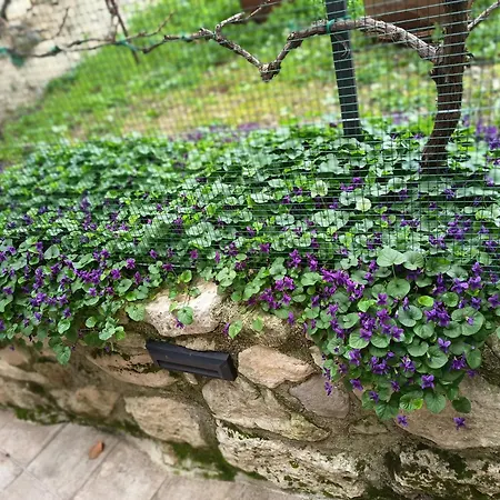 Holiday home Borgo Del Piano 