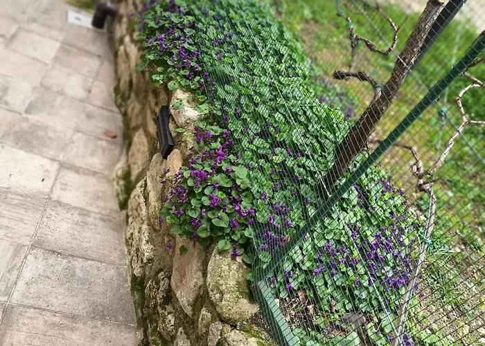 Holiday home Borgo Del Piano 