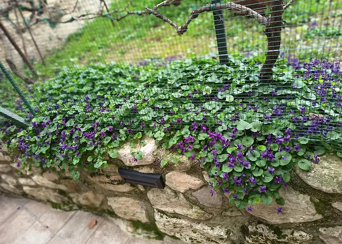 Σπίτι διακοπών Borgo Del Piano 